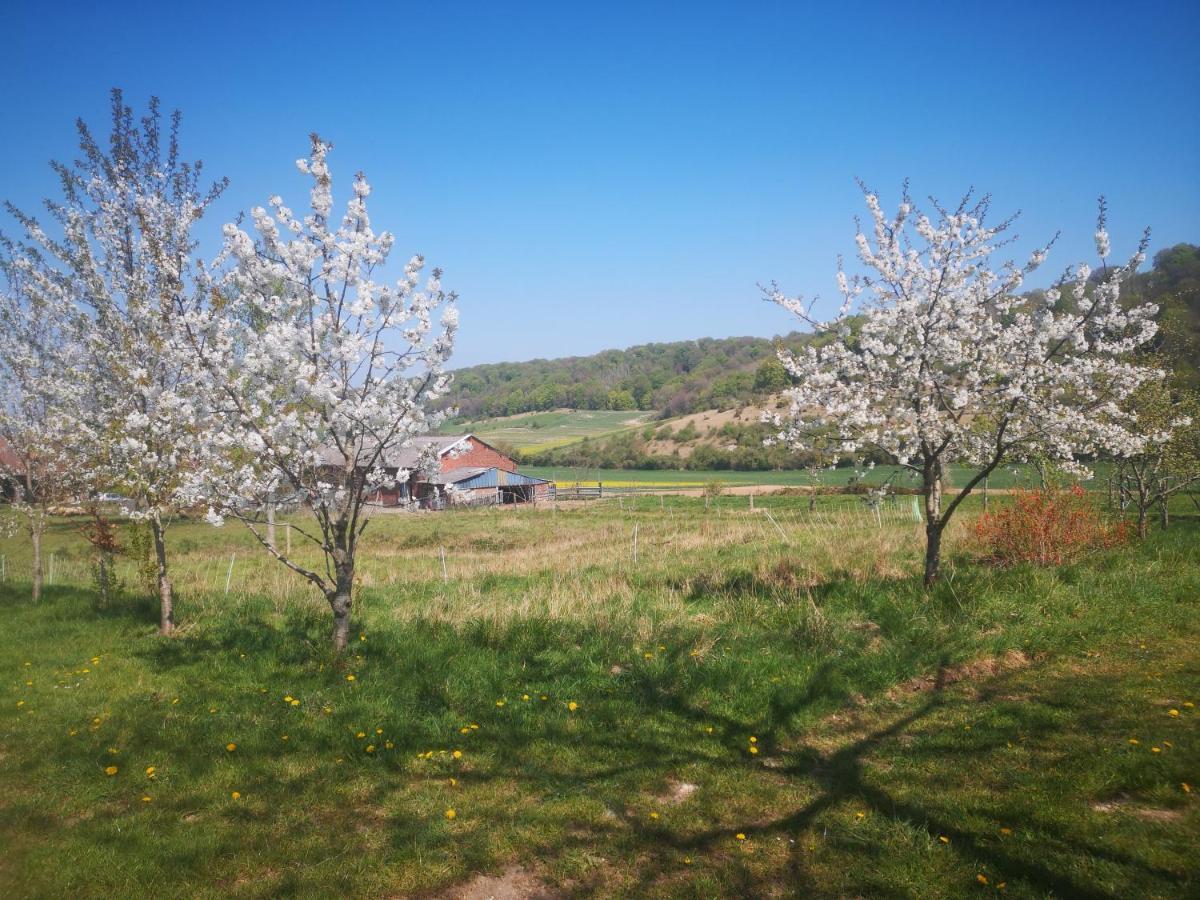 Nature Monchy Campneuseville Zewnętrze zdjęcie